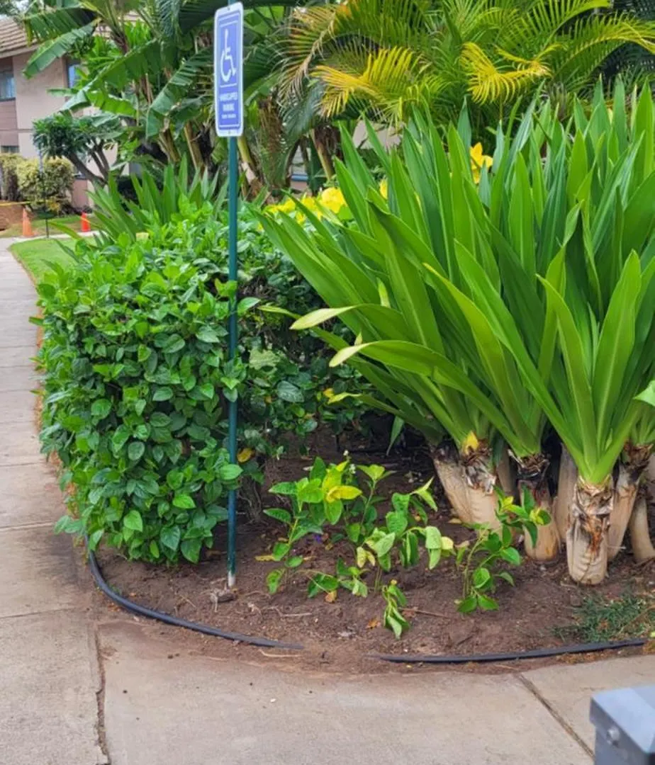 Kihei Kai Nani Resort Apartment