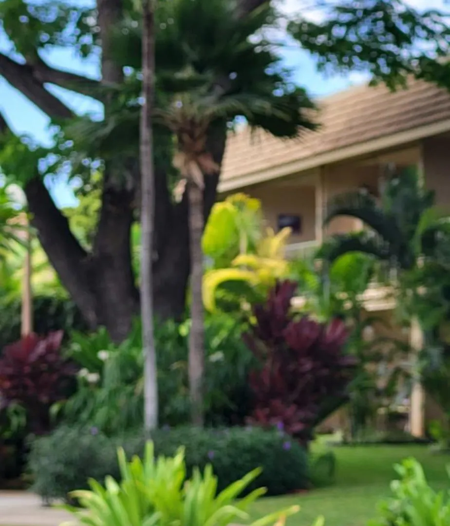 Kihei Kai Nani Resort 0*,  États-Unis